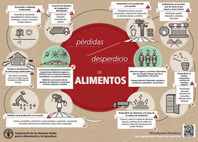 Infografía Sobre La Pérdida Y El Desperdicio De Alimentos | Gastronomía