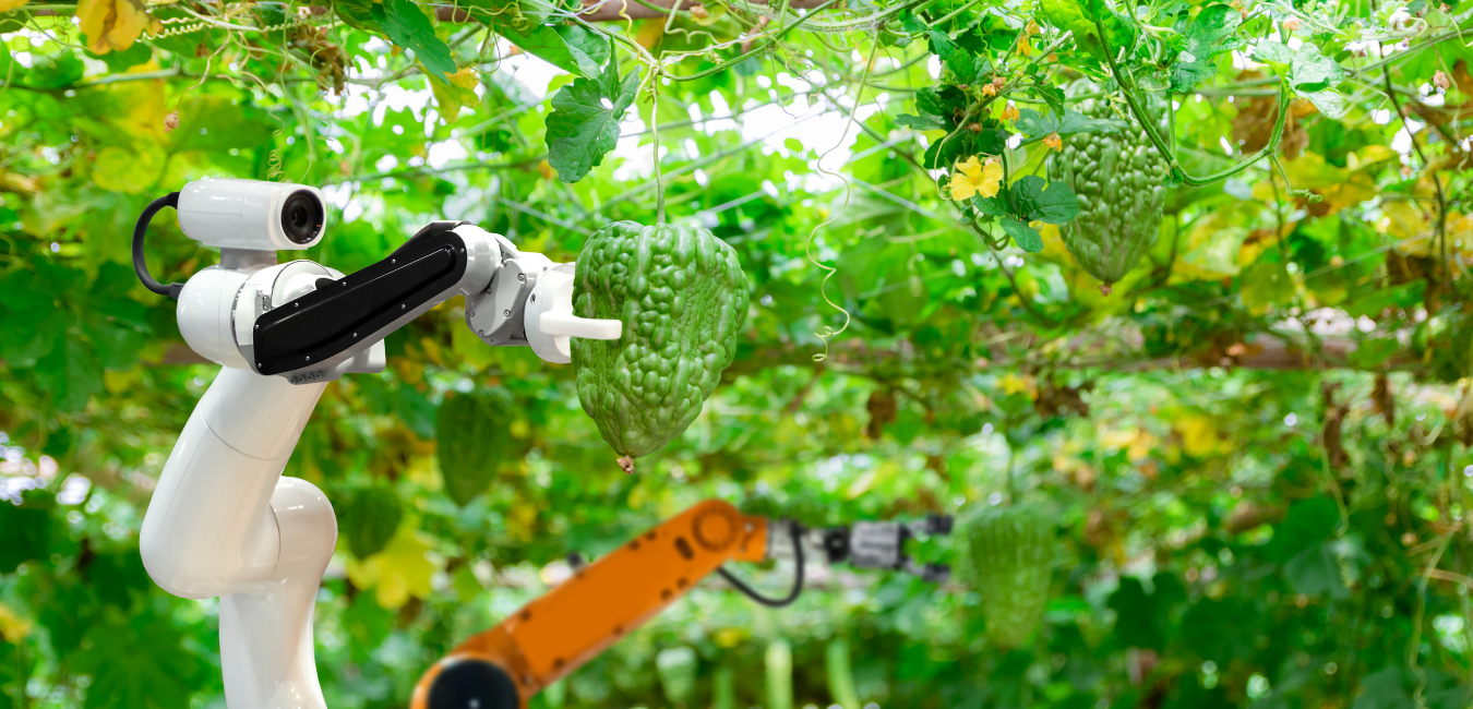 Contra El Desperdicio Alimentario, Un Robot Que Recolecta Fruta Del Suelo